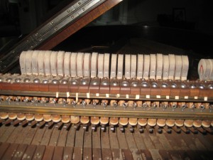 Steinway L Hammers