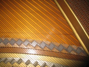 Steinway L belly
