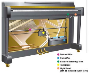 Upright Damp Chaser System
